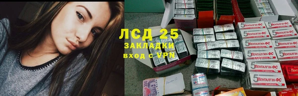 спиды Алексеевка